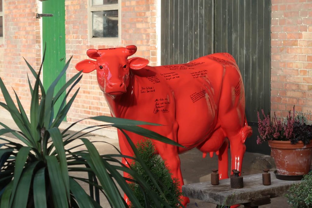 Zenzi - Die rote Kuh